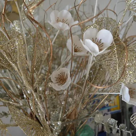 Tota Bed & Breakfast