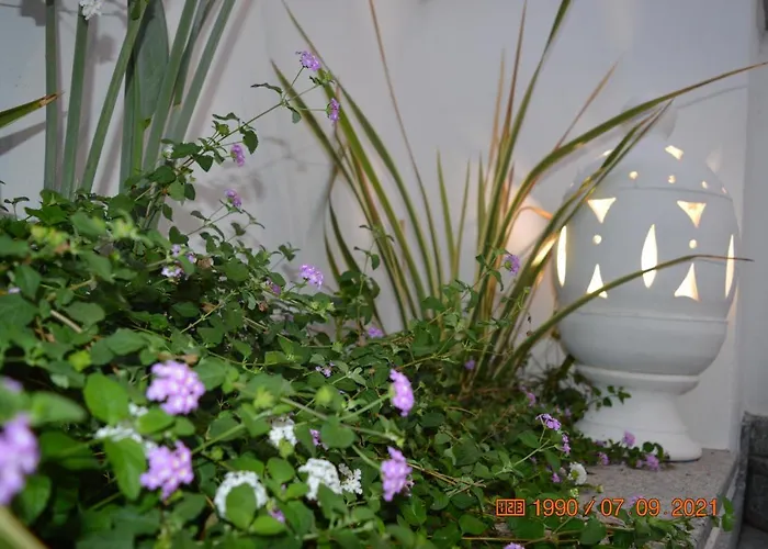 Bed & Breakfast Tota Catanzaro