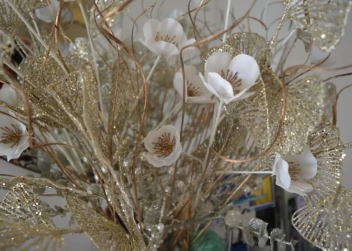 Tota Bed & Breakfast