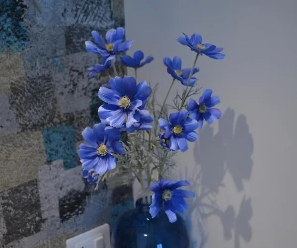 Bed & Breakfast Tota